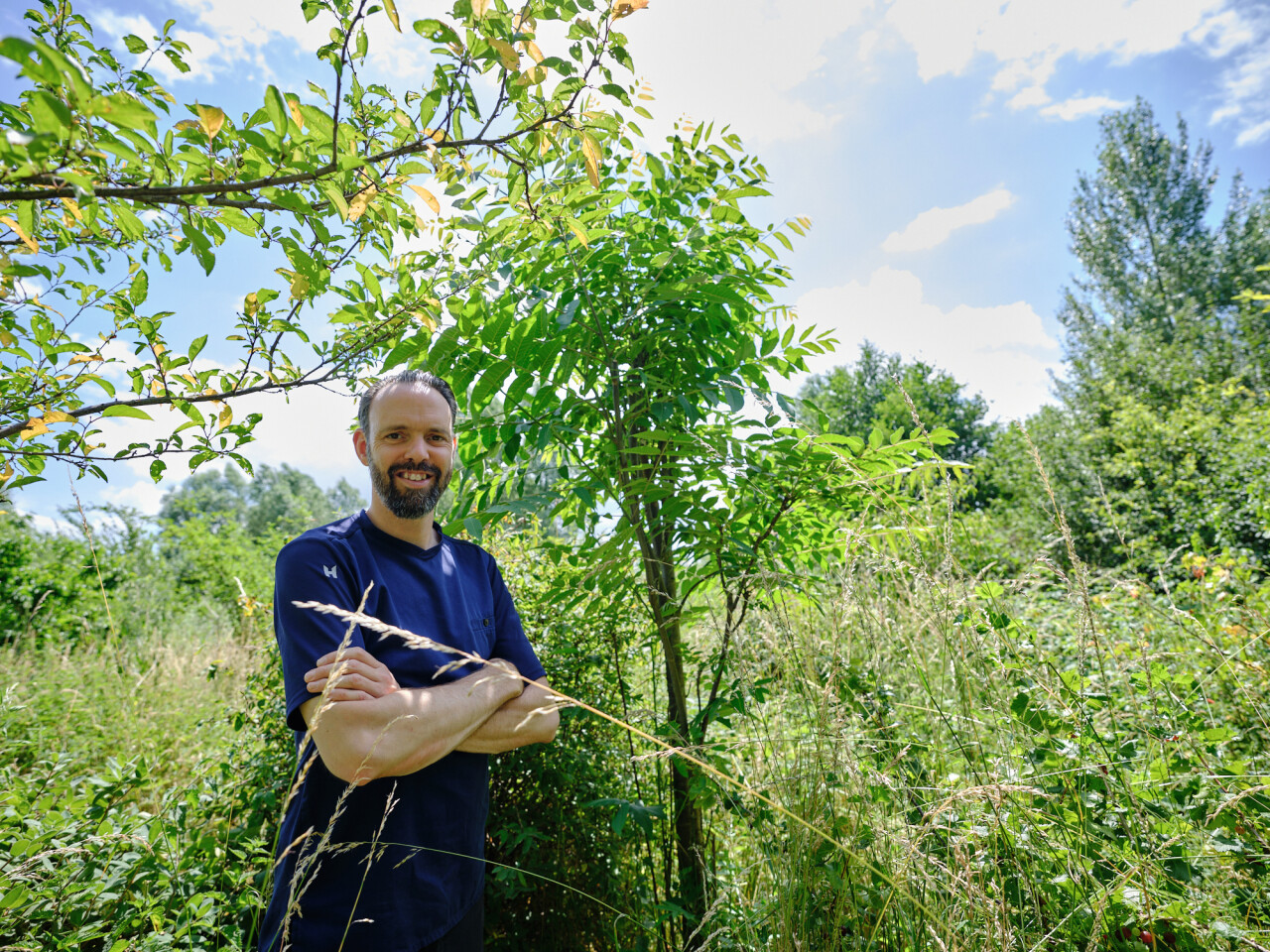 De kracht van de natuur