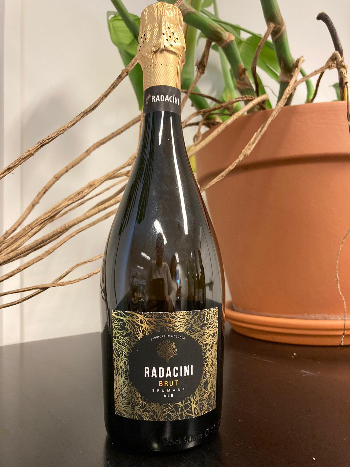 Radacini Radacini